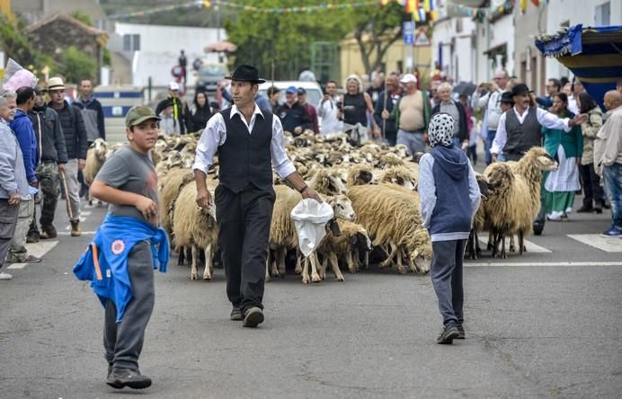 CAIDERO DE GÁLDAR A 30/05/2017. Día de Canarias en Caidero de Gáldar, Fiesta de la lana. FOTO: J.PÉREZ CURBELO