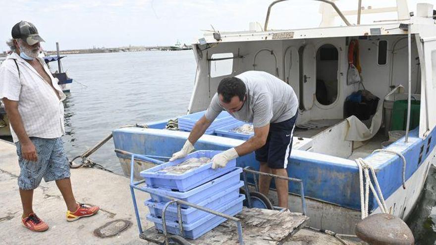 La pesca de Castellón alerta del daño que provoca la sobrepoblación de atún