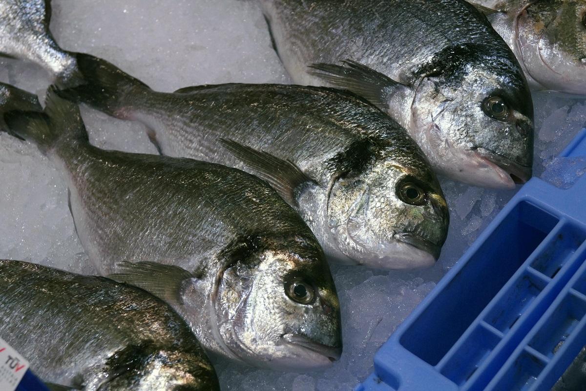La dorada es uno de los pescados con menor contenido de mercurio.