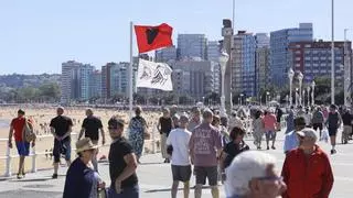 Las carabelas portuguesas continúan en la costa gijonesa: bandera roja de nuevo en la playa de San Lorenzo