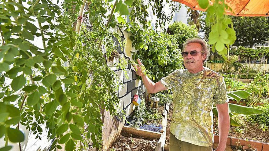 Un oasis en medio de Arenales