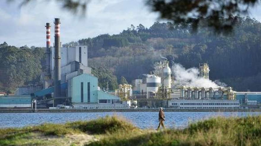 Fábrica de Ence en Pontevedra. // Gustavo Santos