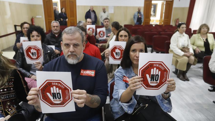 El Pleno se compromete a agilizar el estudio sobre las zonas de gran afluencia turística de Córdoba