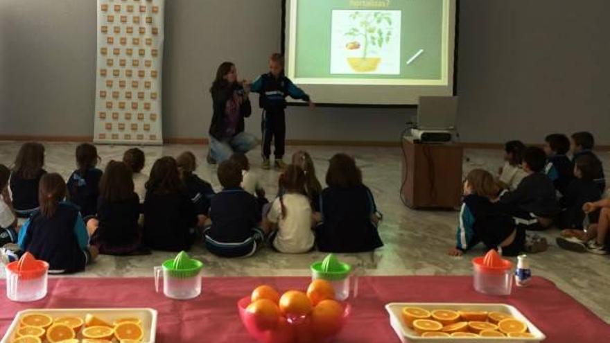 Calasancio, en el taller de frutas de Mercalicante