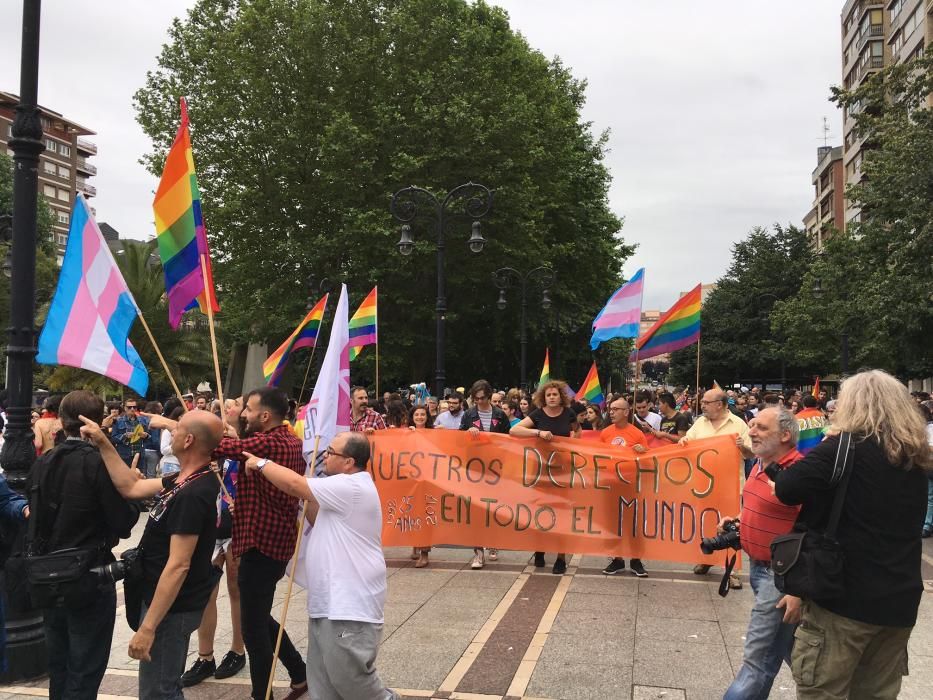 Manifestación del Orgullín del Norte.