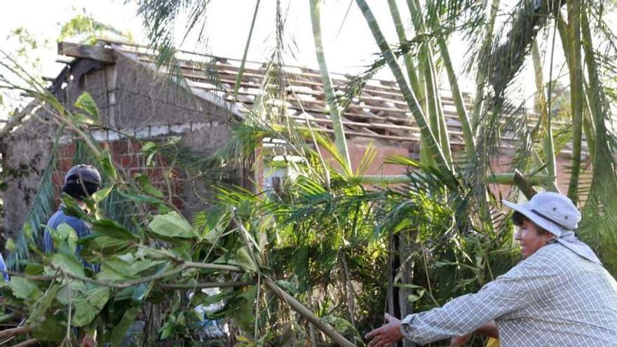 Árboles caídos en Huerta, un municipio de Jalisco, donde las lluvias causaron también inundaciones como en el resto del país.