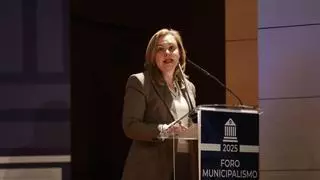 Enguix: "La diputación ha demostrado solvencia en la gestión"