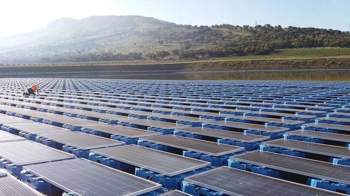 Extremadura blinda suelo agrícola y dehesas en el nuevo mapa de zonas prioritarias para plantas solares.