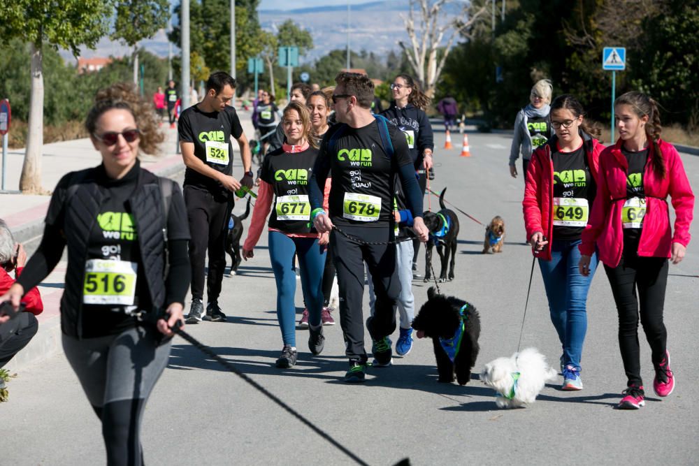 Can We Run: Gran carrera de perros para la concienciación animal