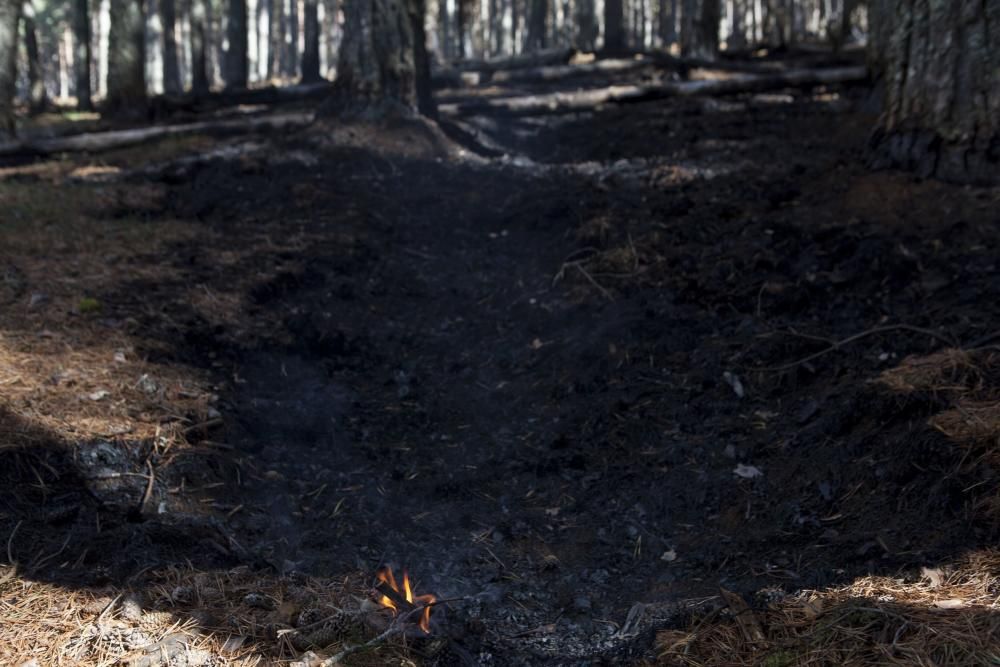 Allande y Grandas de Salime: recorrido por los territorios quemados en los últimos incendios