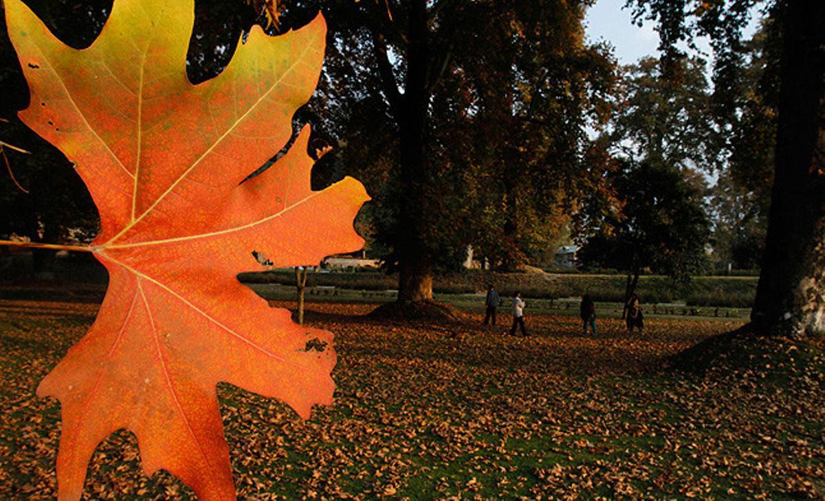 Un grup de turistes passegen en un jardí dels afores de Srinagar, a l’Índia.