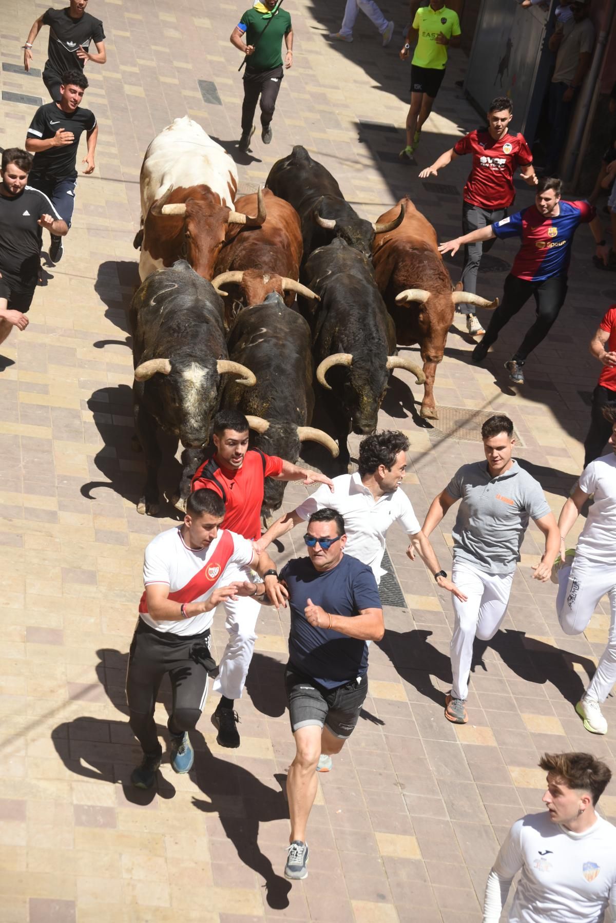 Galería | Más imágenes del encierro de cerriles de Gerardo Ortega