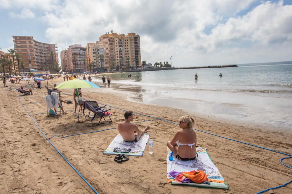 Primer día de baño autorizado en las playas de Torrevieja con arena parcelada y controles de acceso