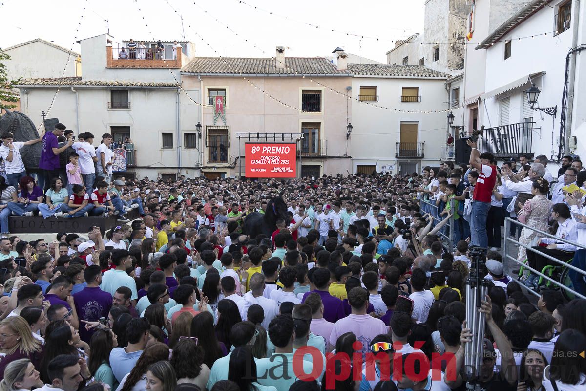 Fiestas de Caravaca | Entrega de premios del concurso morfológico
