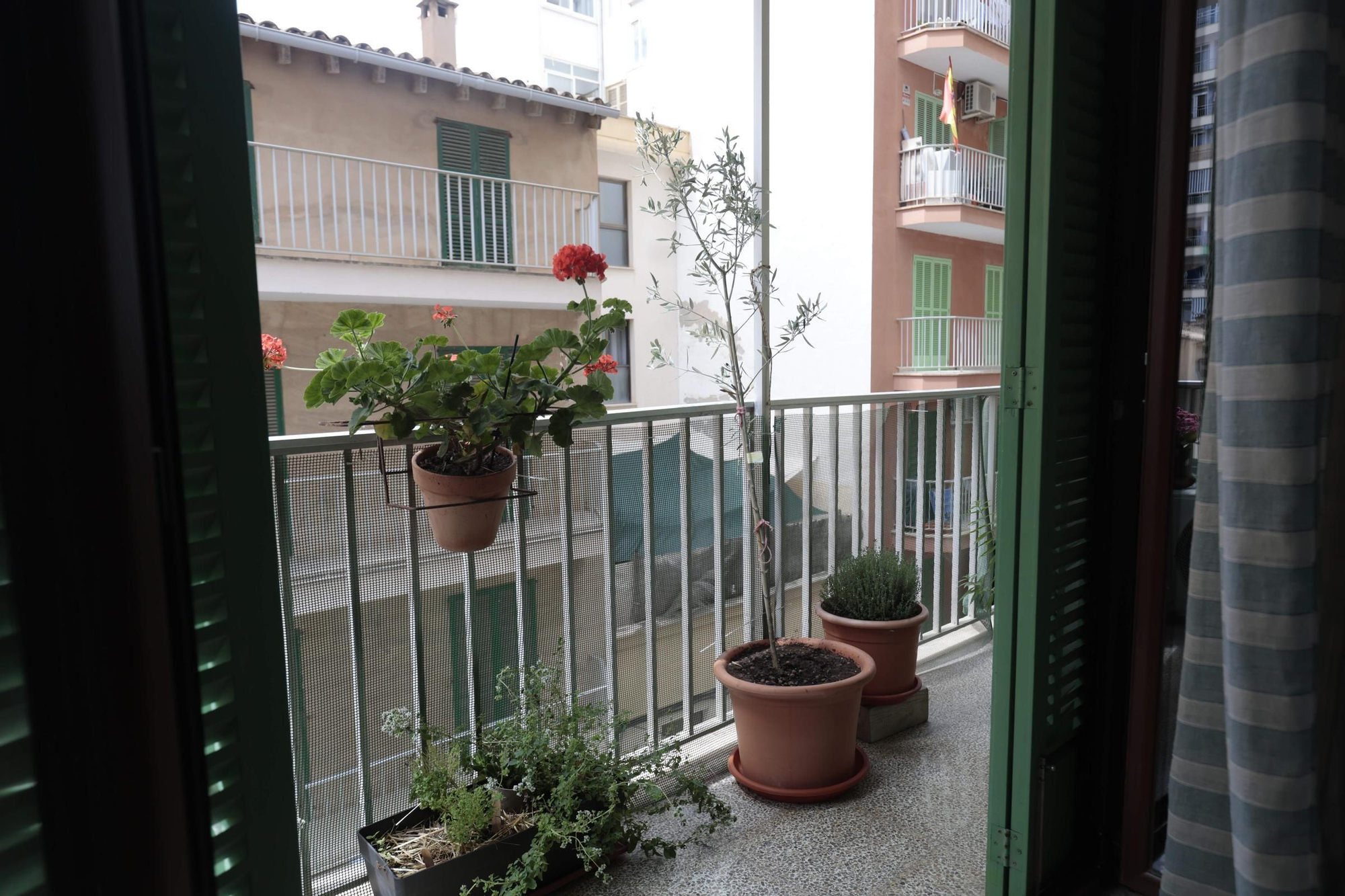 Vivir hasta el final en casa: los cuidados paliativos a domicilio en Mallorca