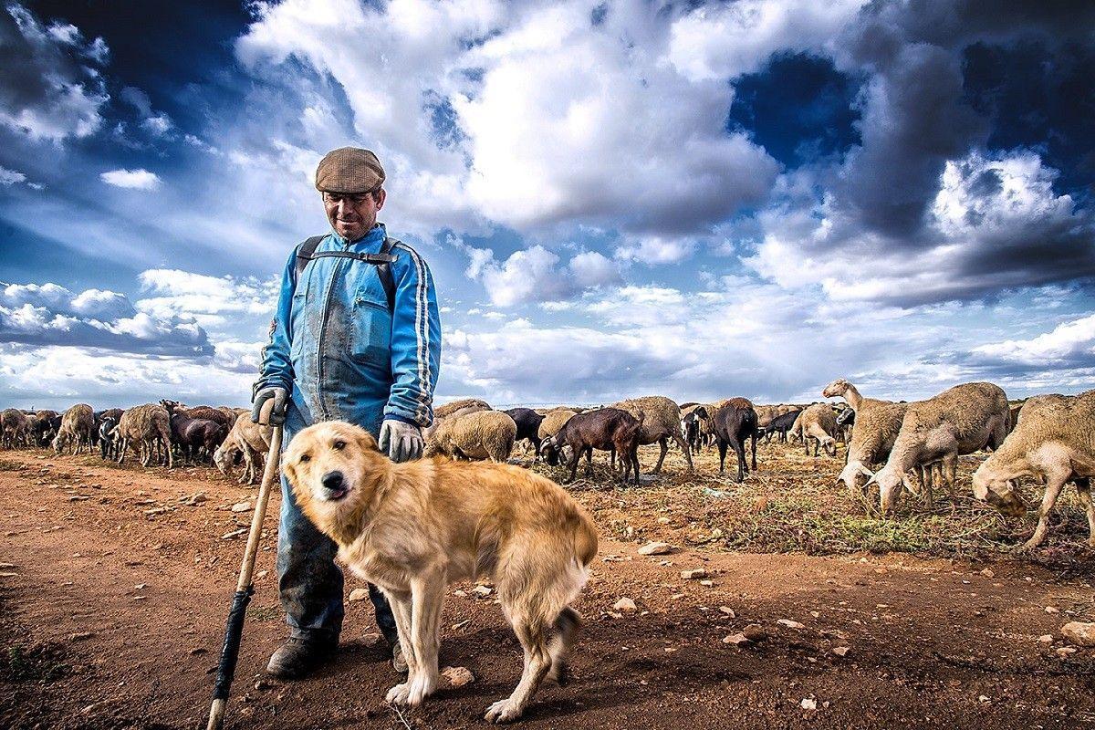 Pastor con su perro Pastor con su perro