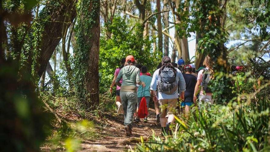 Un grupo de excursionistas en la isla de Cortegada. // Iñaki Abella