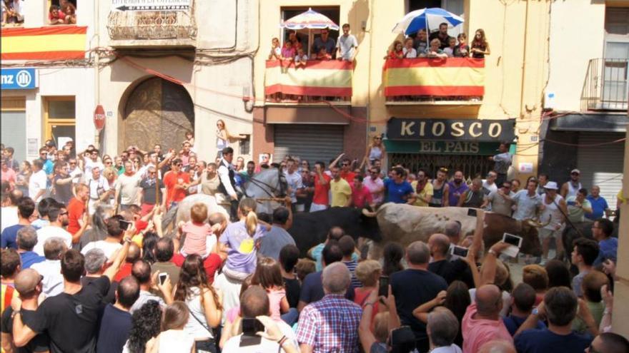 La manada se parte y desluce la quinta Entrada de Toros y Caballos de Segorbe