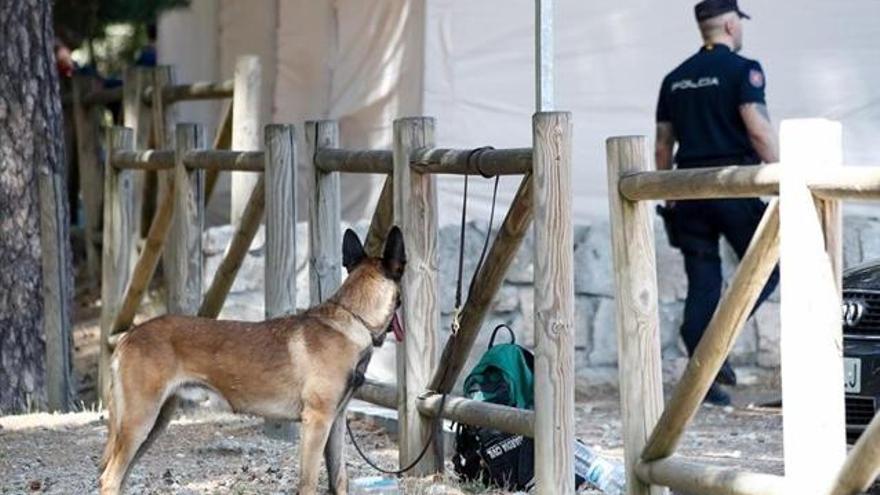 Un agente y un perro de rastreo en Cercedilla.