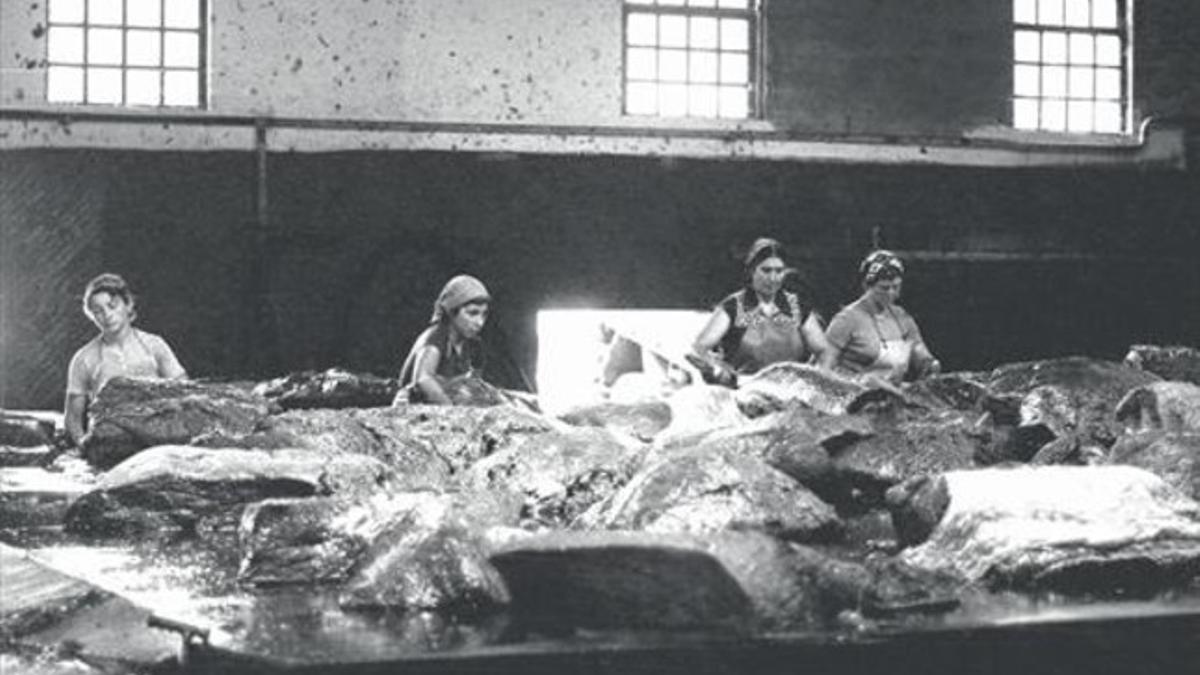 Cuatro trabajadoras de la factoría de Caneliñas despiezan un ejemplar en 1981.