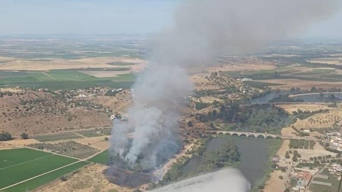Incendio forestal declarado en Medellín.