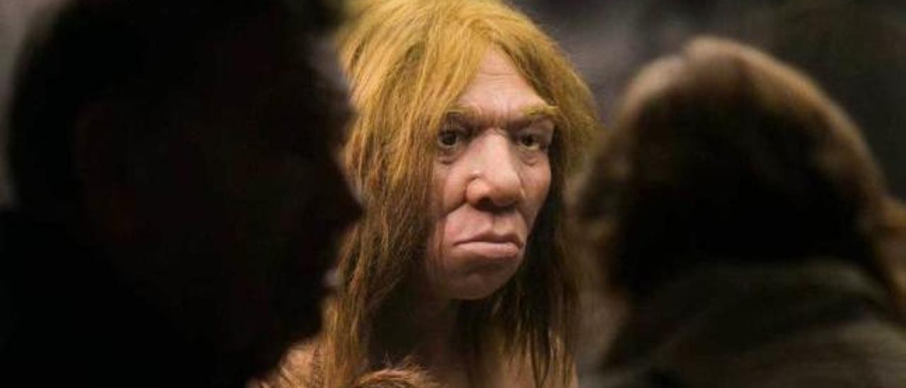 Arriba, mujer neandertal en el Museo Arqueológico de Asturias. Sobre estas líneas, Jordi Agustí.