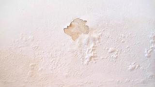 Adiós a la humedad de la pared sin pintar: las 20 gotas que la dejan como nueva