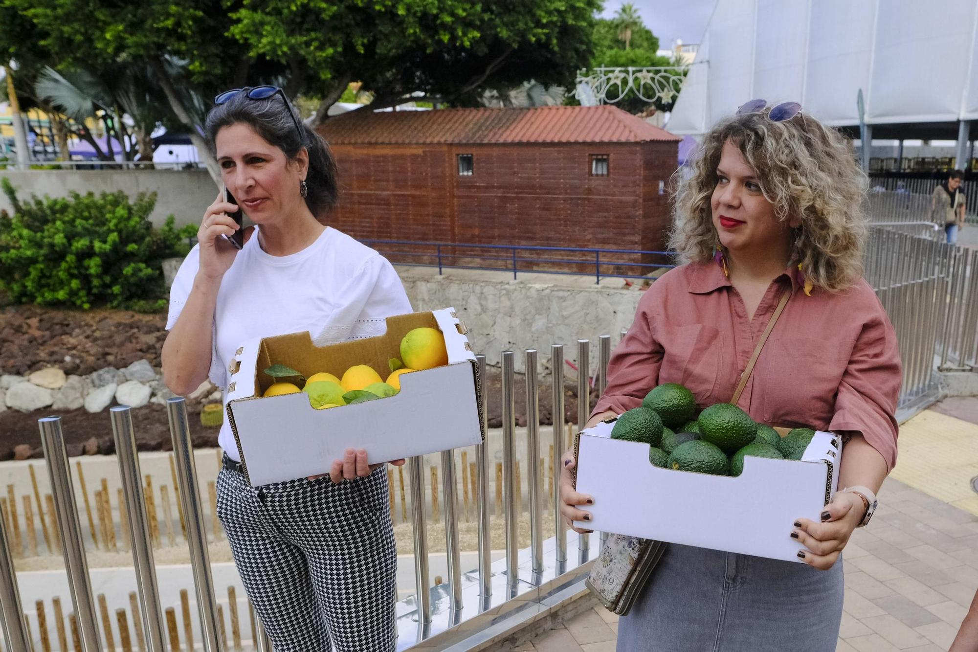 Feria del Aguacate de Mogán