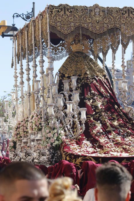 Domingo de Ramos | Salud