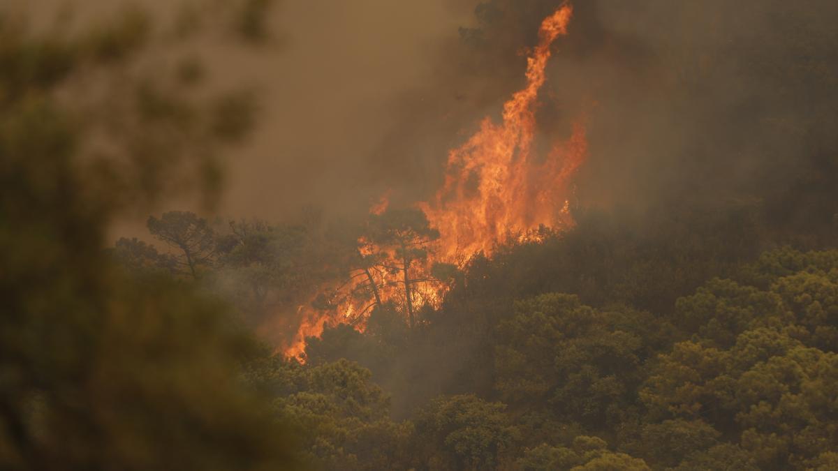 Un incendio en Sierra Bermeja provoca el desalojo de 500 personas
