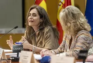 El calzado de Elche, el mármol de Alicante, la cerámica de Agost y la alfombra de Crevillent podrán ser indicaciones geográficas