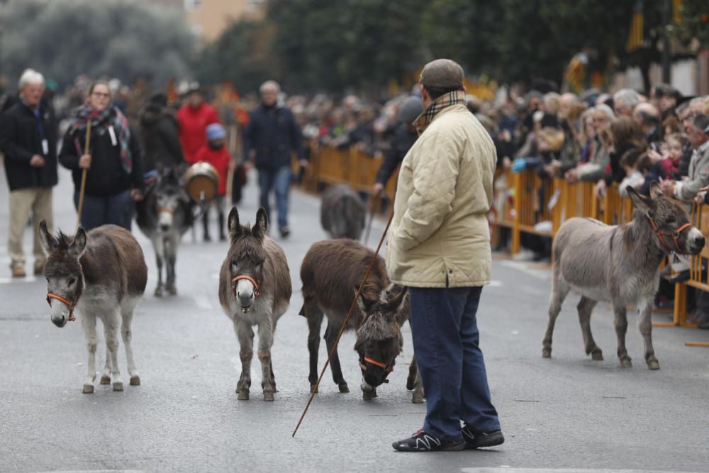 Festividad de Sant Antoni en València