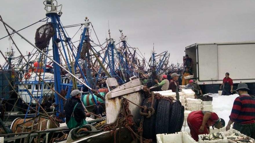 Barcos de pesca y marineros en el puerto de Dakhla, en el que también opera la flota gallega. la opinión