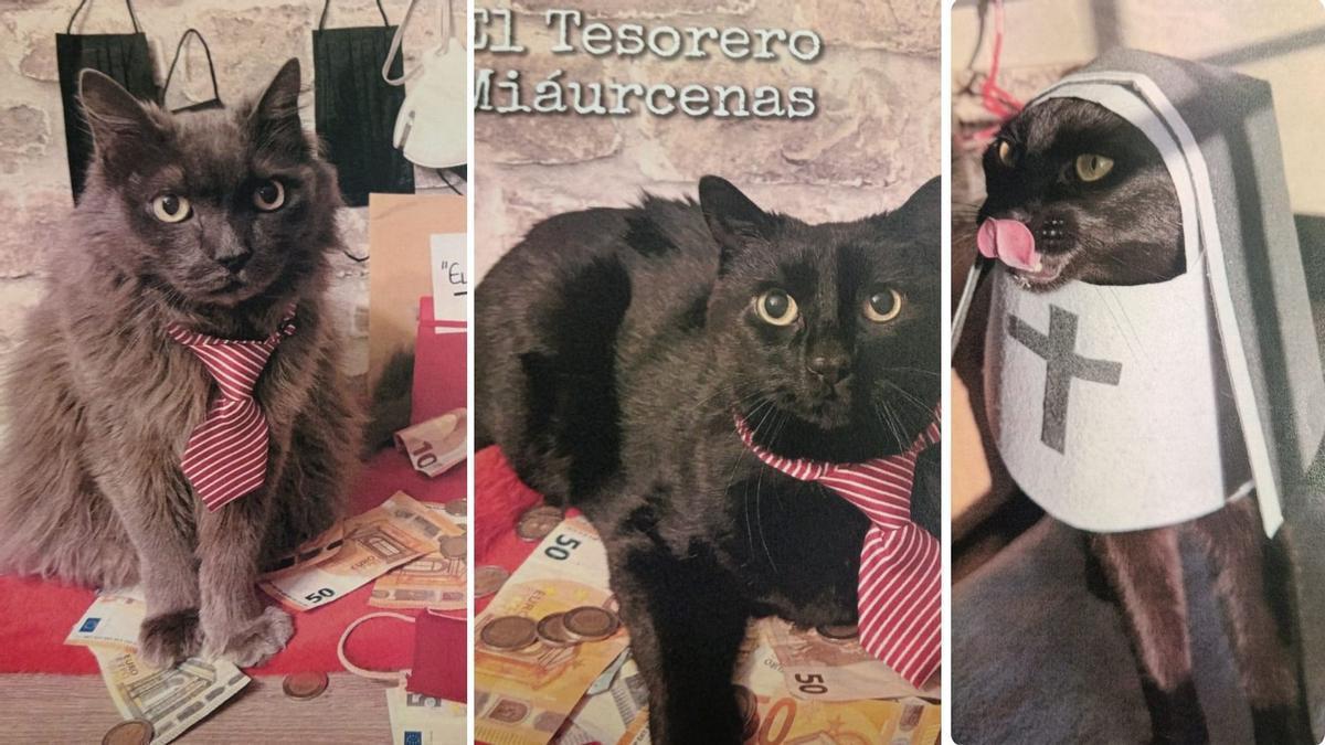 El desfile de mascotas de Grado, en imágenes