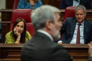 Pleno del Parlamento de Canarias