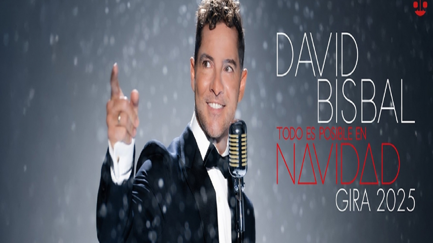 Concierto de David Bisbal Concierto de David Bisbal