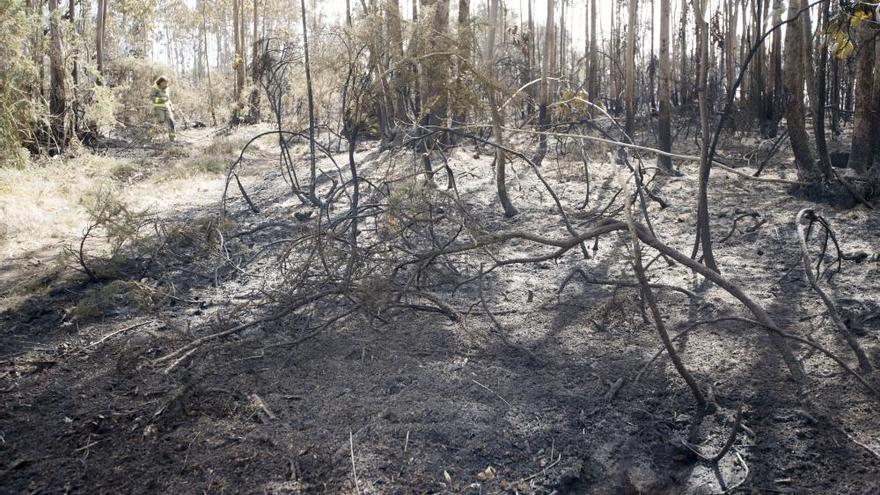 El incendio de A Zapateira que cercó la tercera ronda quemó unas diez hectáreas