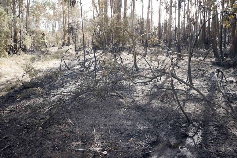 El operativo de extinción incluyó cuatro helicópteros y tres aviones y medios terrestres || Se tomó declaración a una testigo ante la sospecha de que el fuego fue provocado