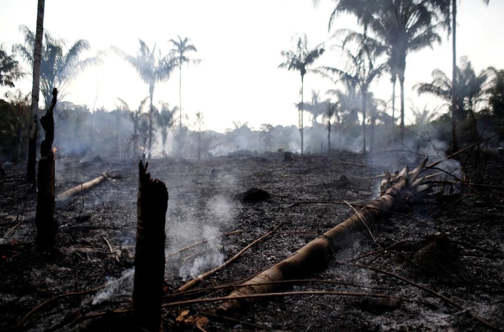 Rècord d'incendis a l'Amazones