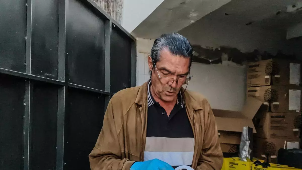 Mogán reparte 1.500 mosqueros a 114 agricultores contra la mosca de la fruta