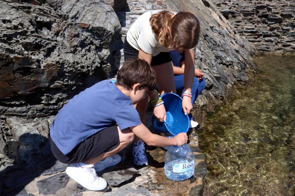 Els alumnes recollint aigua del mar per utilitzar als aquaris