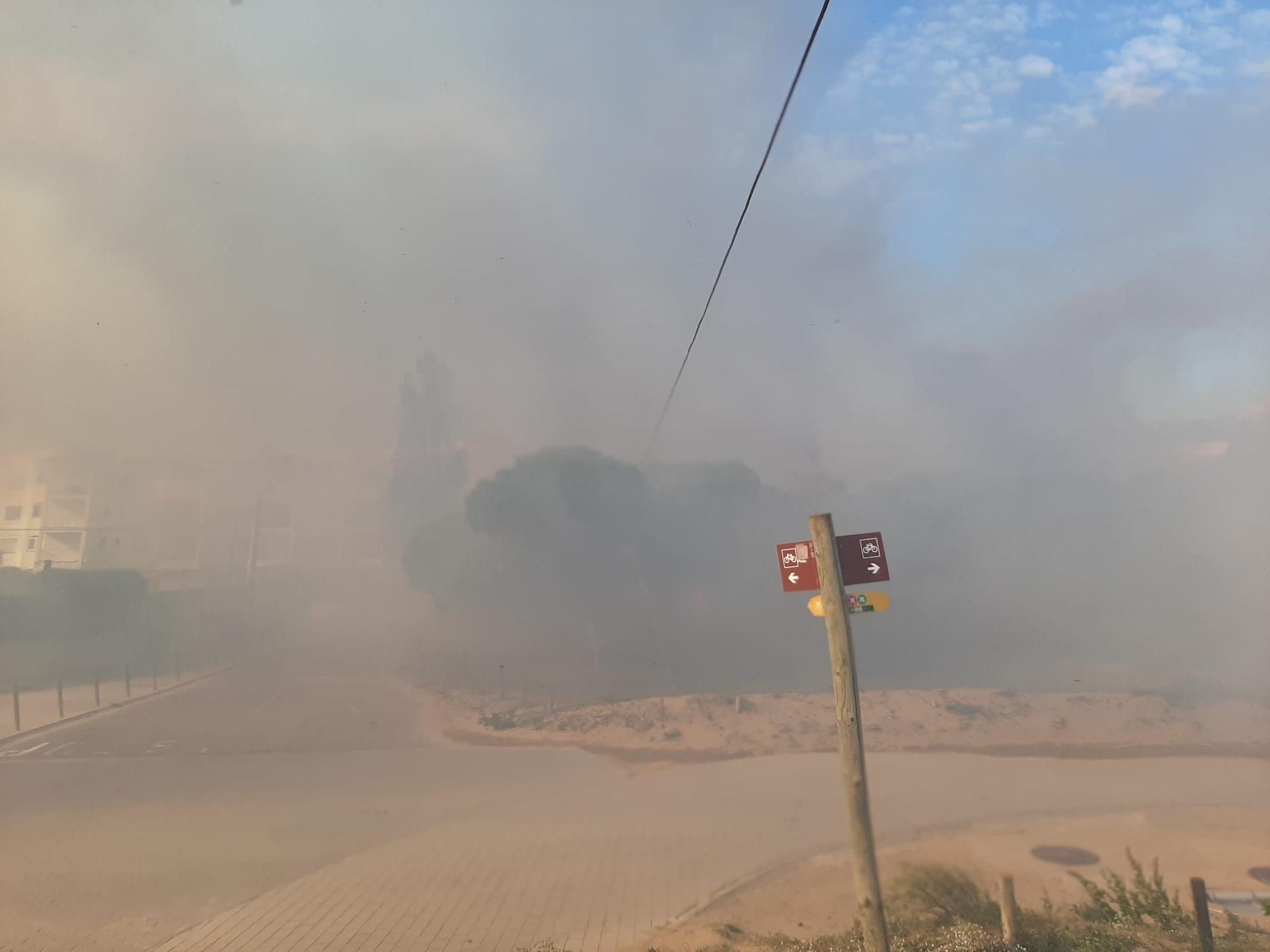 Incendi de matolls a l'Estartit