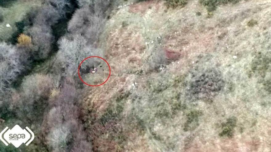 Lugar en el que el hombre (en el círculo) sufrió la caída visto desde el helicóptero de rescate del SEPA.