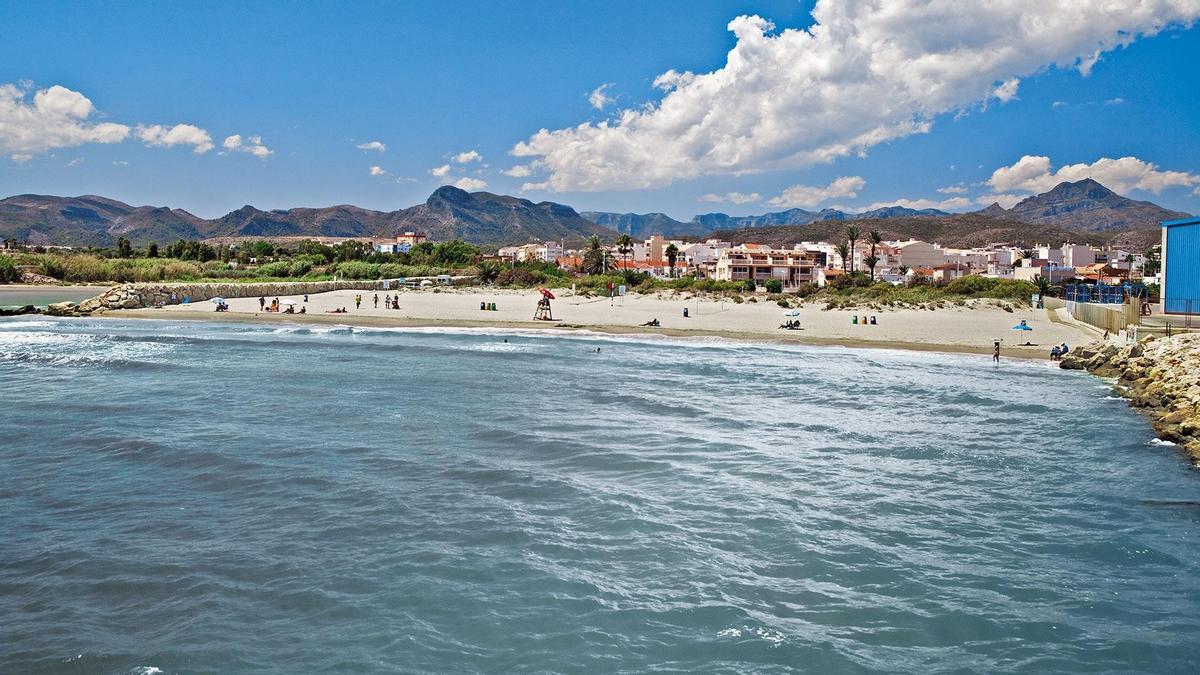 Las playas de Gandia lucirán un año más las banderas que certifican su calidad medioambiental.