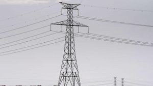 Brussel·les insta els estats a assumir part de la inversió en la xarxa elèctrica