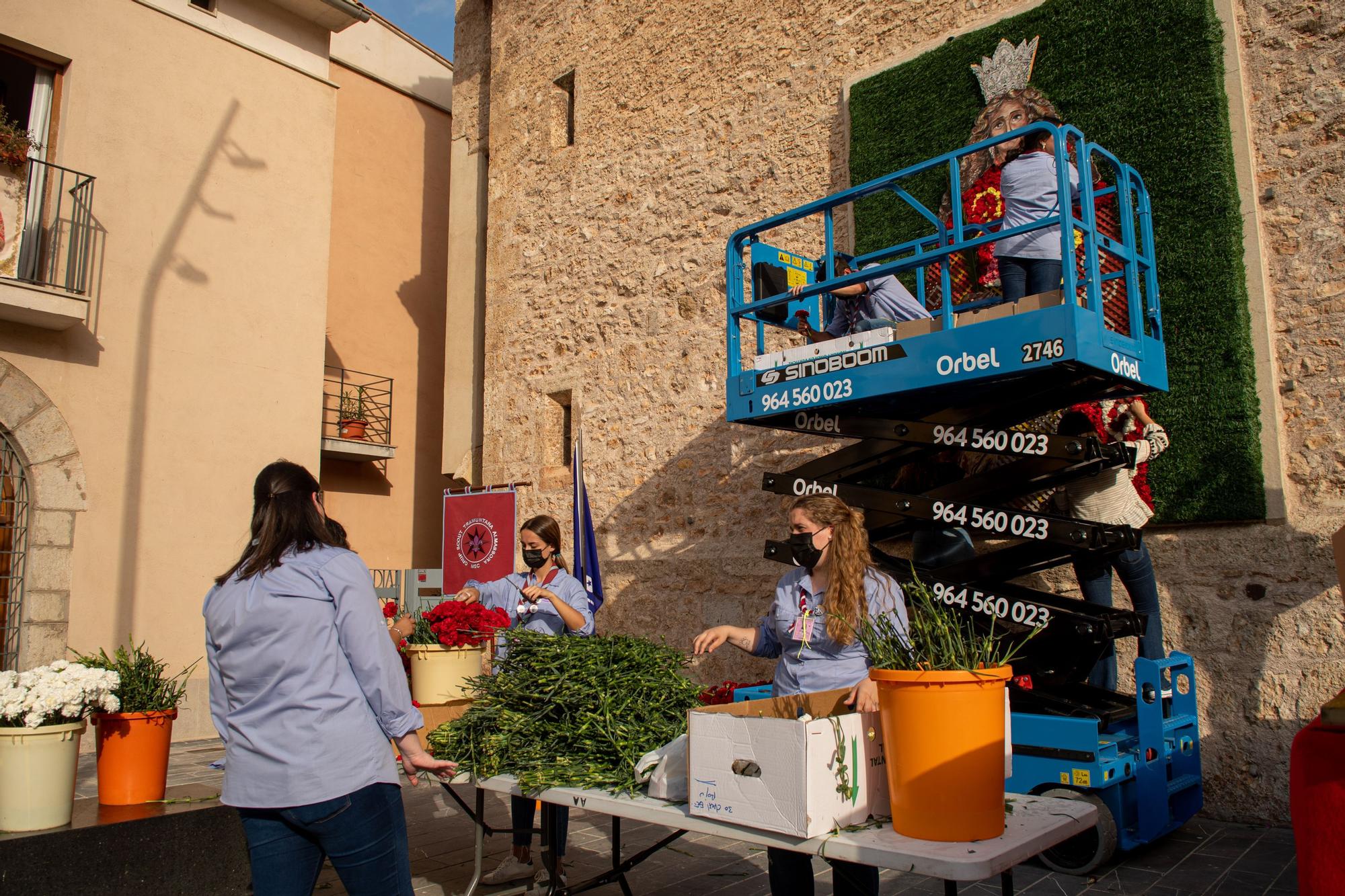 Así ha vestido Almassora el tapiz de flores en honor a Santa Quitèria