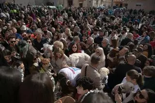 Así ha sido la celebración de San Antón en Cartagena