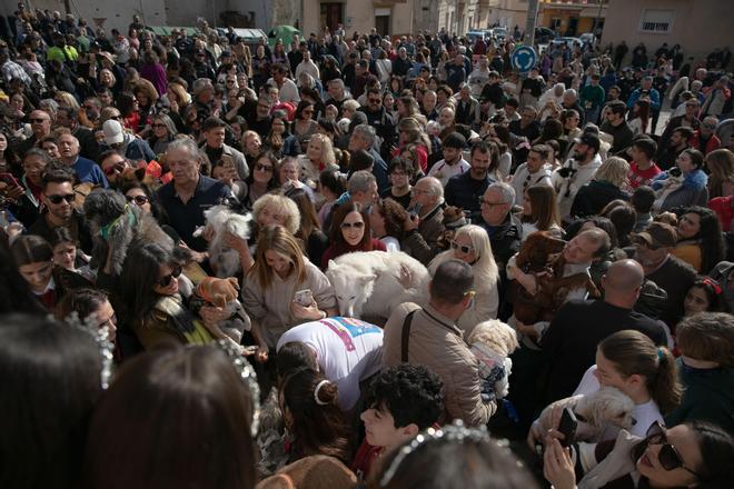 Así ha sido la celebración de San Antón en Cartagena