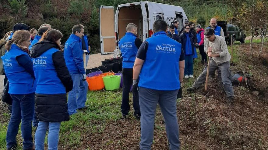 Voluntarios trabajando en la reforestación del Monte Coruxo