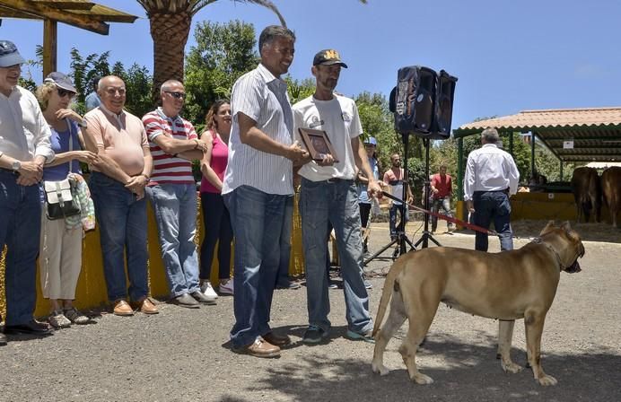 ARUCAS GRAN CANARIA A 28/05/2017 Entrega de premios concurso de ganado del Cabildo de Gran Canaria. FOTO: J.PÉREZ CURBELO